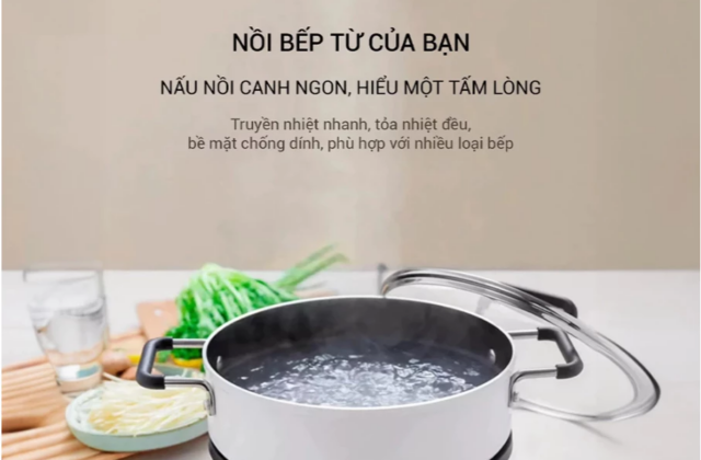 Khám Phá Chiếc Bếp Từ Giá Rẻ Đầy Tiện Nghi Người Dùng