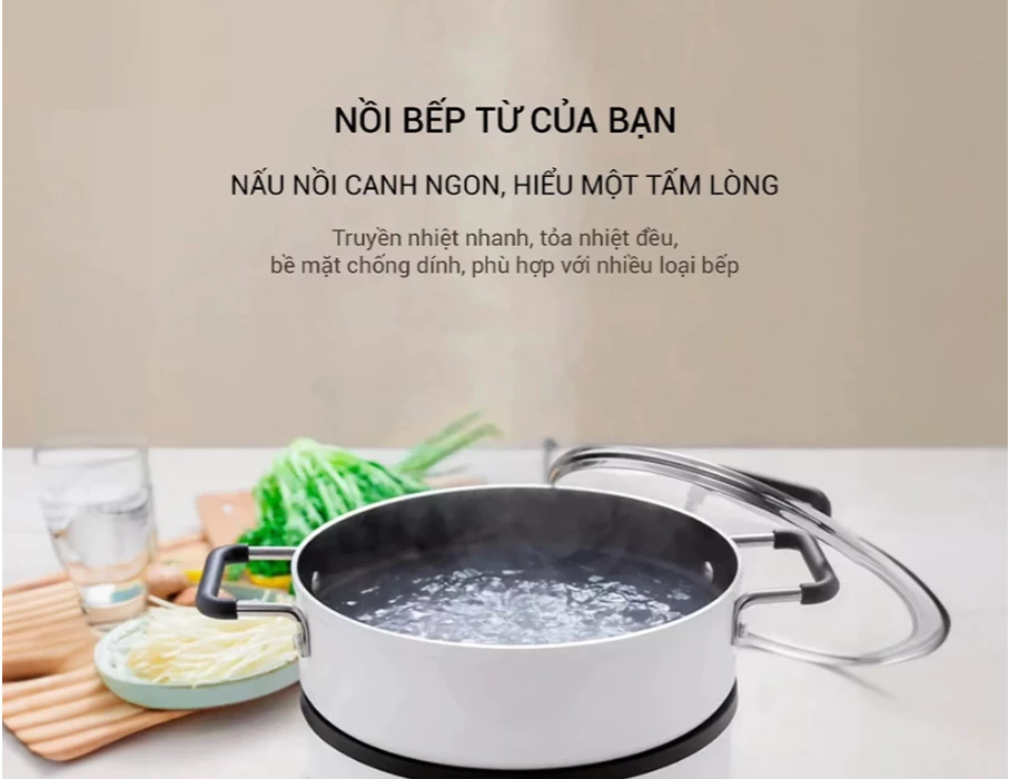 Khám Phá Chiếc Bếp Từ Giá Rẻ Đầy Tiện Nghi Người Dùng